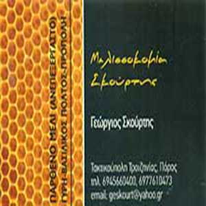 ΜΕΛΙΣΣΟΚΟΜΙΑ ΣΚΟΥΡΤΗΣ